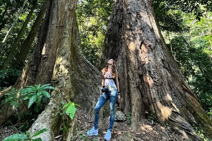 Immerse in Nature Cuc Phuong National Park Trekking, Local Guide