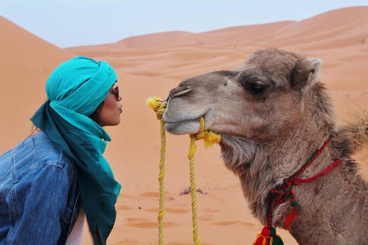 Marrakech : Dinner Show in Agafay Desert with Quad Bike & Camels