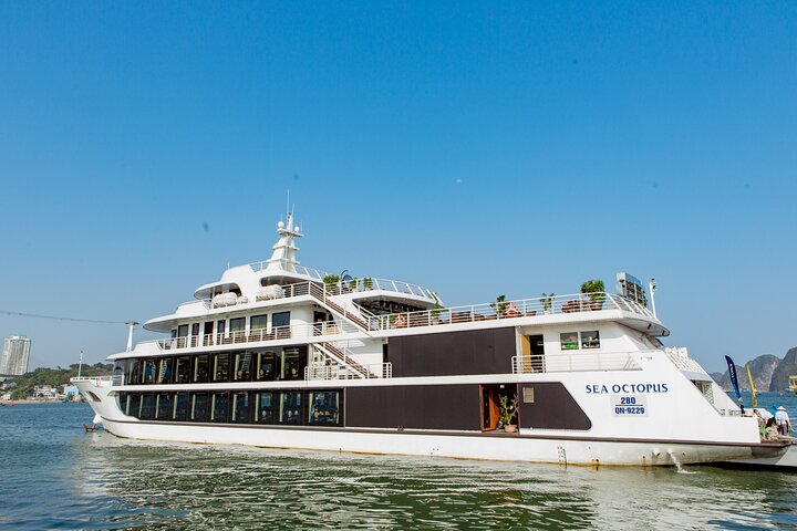 Sea Octopus Cruise Luxury Day Trip From Halong International Port