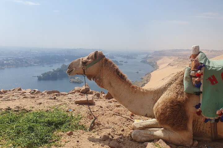 Abu Simbel to Qubbet El Hawa Temples and Noble Tombs Tour