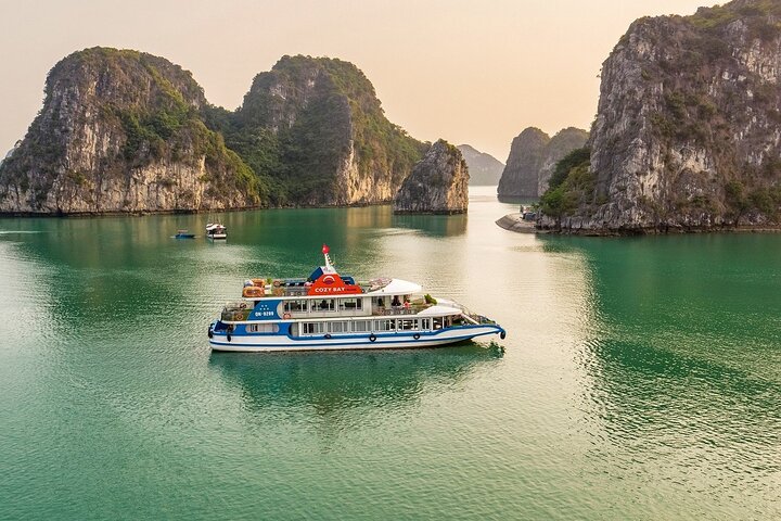 Cozy 5-Star Halong Day Cruise with Buffet Lunch from Harbor