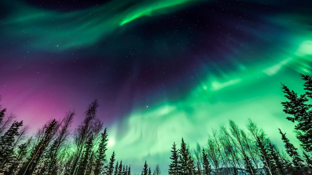 Private Northern Lights Hunt by car from Rovaniemi rus