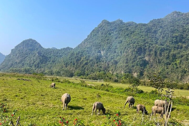 Cat Ba- Lan Ha Bay Day Trip Best Selling: Kayaking, Biking, Lunch
