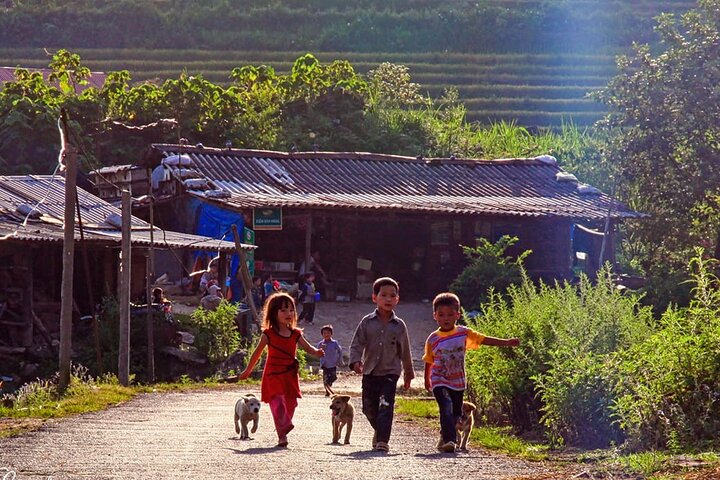 Explore Northern Vietnam in 7 Days: Ninh Binh, Ha Long Bay & Sapa