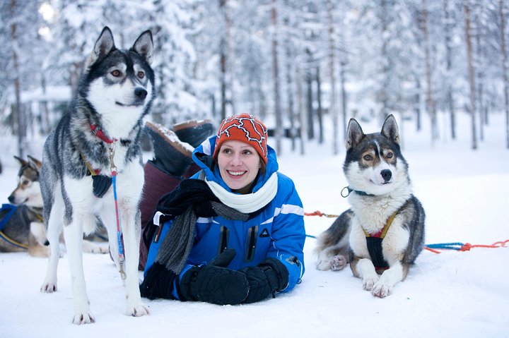 Husky Safari in Rovaniemi with Hot Drinks & Local Husky Farm