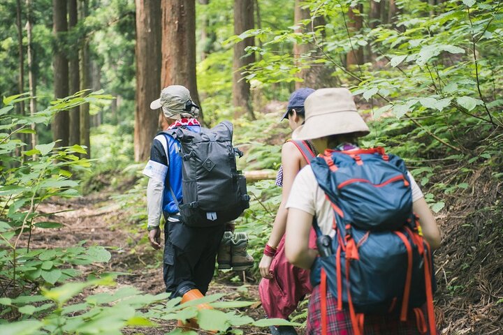 Full-Day Guided Trekking Tour in Bach Ma National Park Vietnam