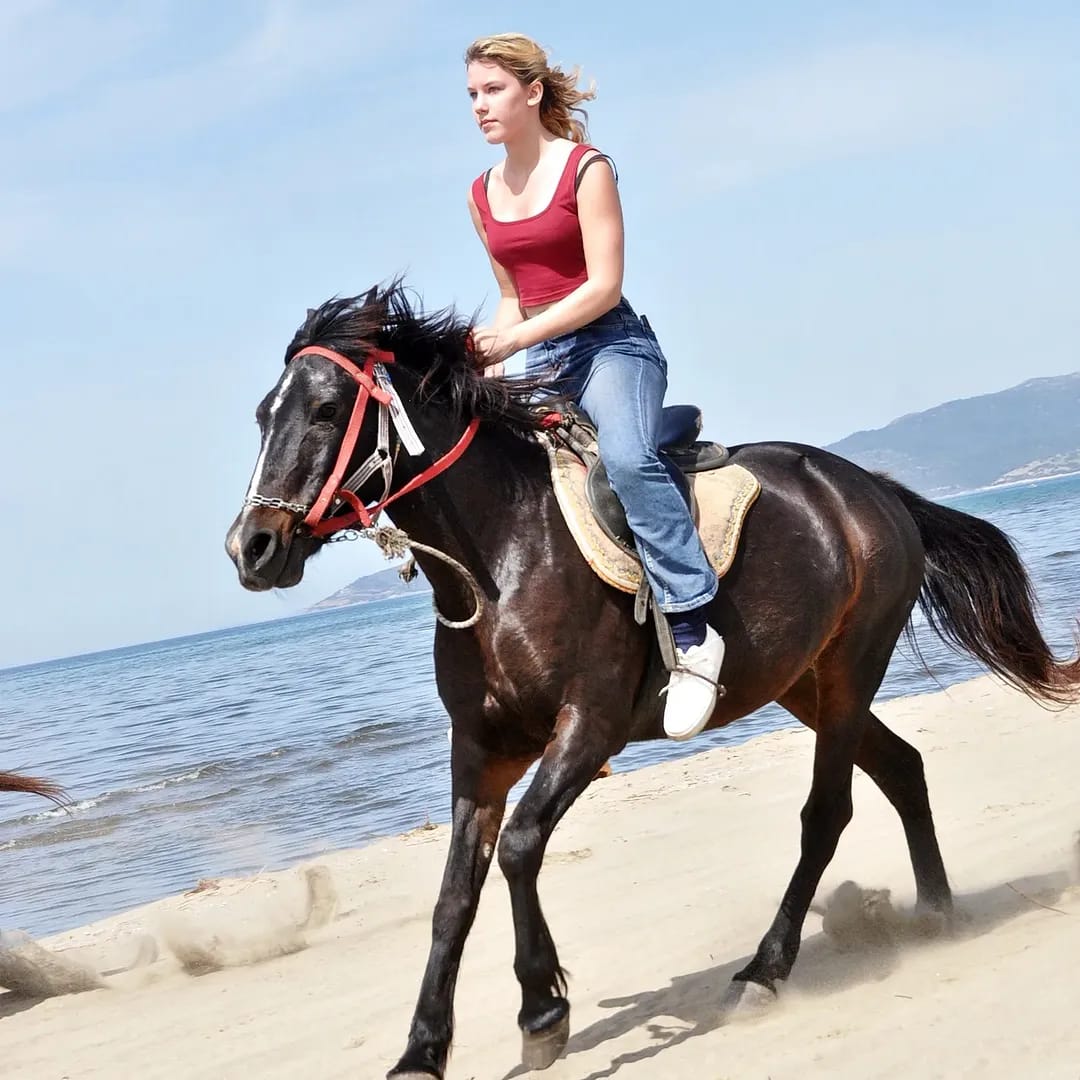 Kuşadası Horse Safari (Pamucak Beach)