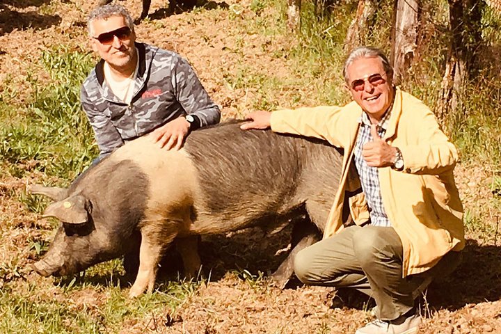 Montepulciano: Tuscan Farm Experience with Cinta Senese Pigs and Lunch