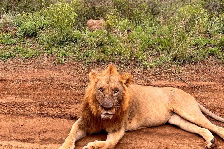 3 Days and 2 Nights Private Maasai Mara Safari 3 Days and 2 Nights Private Maasai Mara Safari