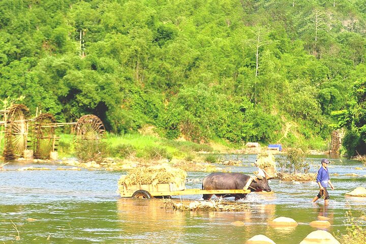 Offbeat Trekking Tour- Pu Luong Nature Reserve 2 days from Hanoi Offbeat Trekking Tour- Pu Luong Nature Reserve 2 days from Hanoi