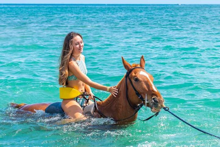 2 hours Horse Riding One Hour Riding on The sea and one Hour in Desert- Hurghada