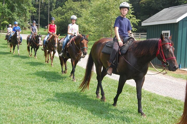 Horse Riding Tour in Bodrum with Roundtrip Transfer Horse Riding Tour in Bodrum with Roundtrip Transfer