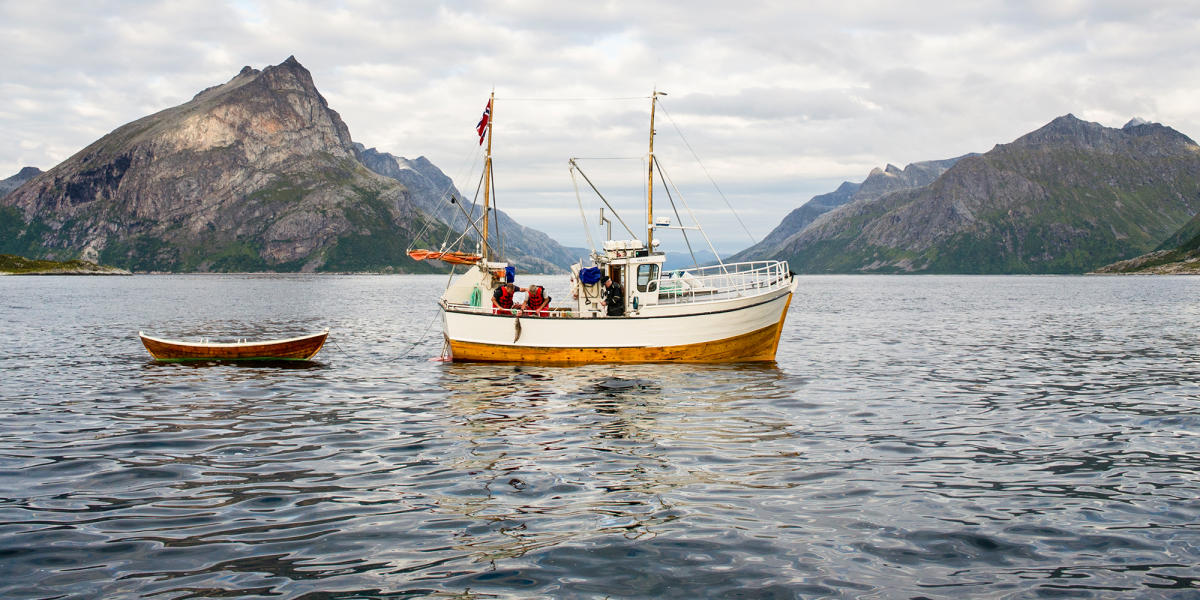 SEA / FRESHWATER FISHING IN BERGEN