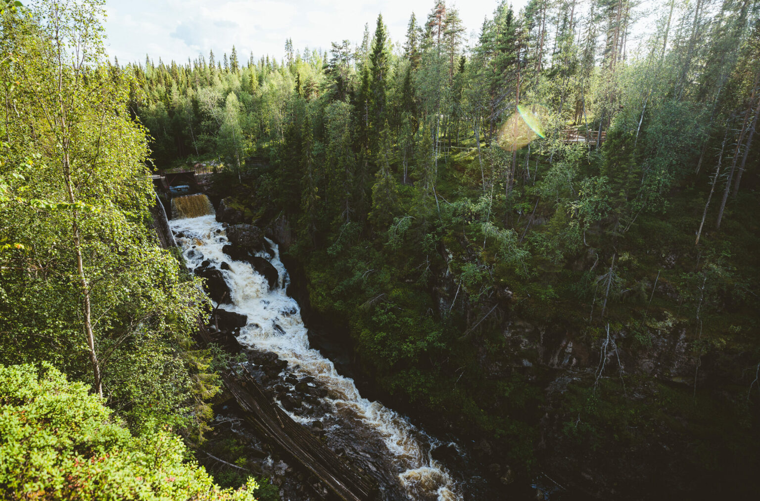 Rovaniemi: Auttiköngäs Waterfalls Hike Tour & Barbeque – Small Group