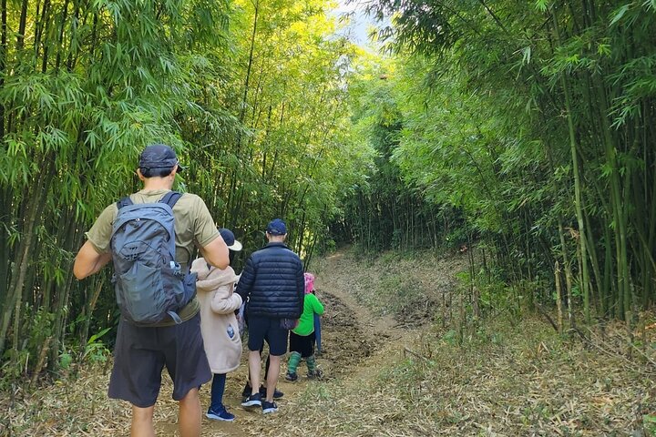 Private Trekking Experience to Hidden Bamboo Forest in SAPA