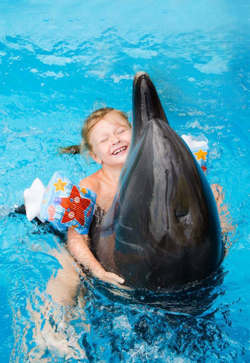 Premium 5 Minutes Dolphin Swimming Experience – Hurghada