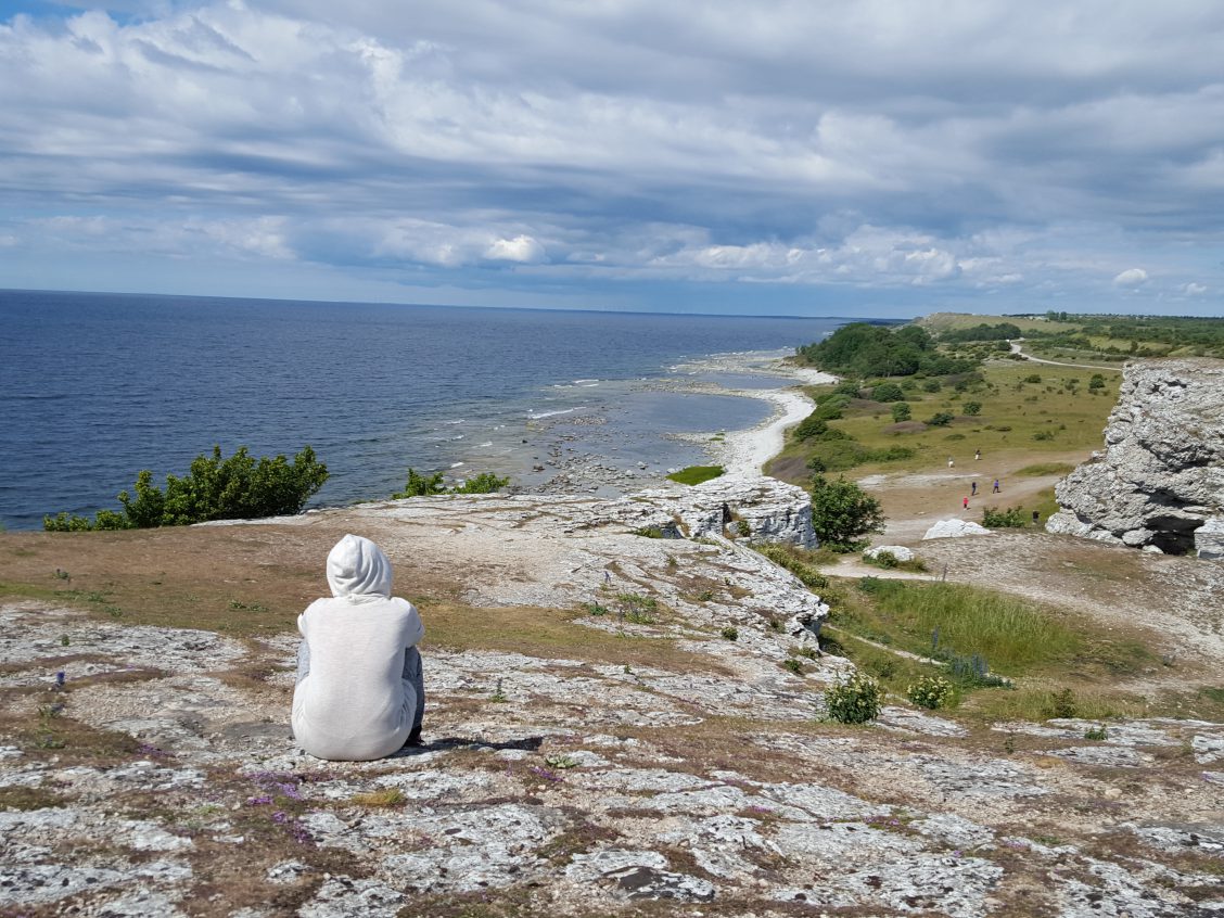 Private Gotland island and Fårö island tour