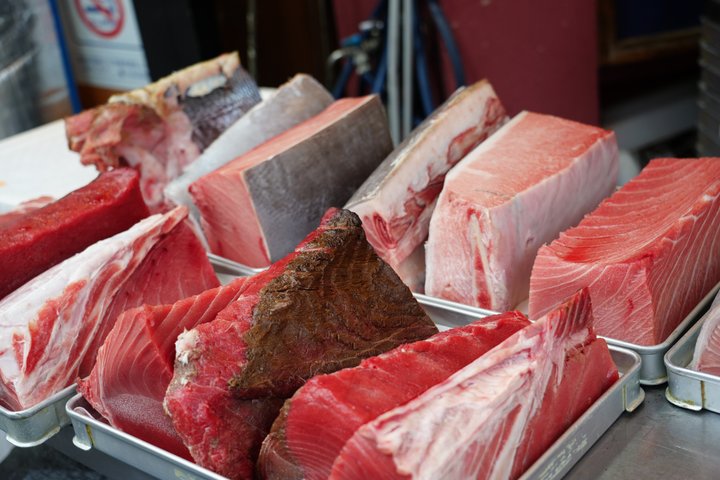 Tsukiji Fish Market Morning Tour Most Fresh Tuna Fish