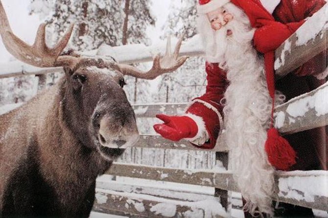 Private Guided Lapland Ranua Zoo tour from Rovaniemi