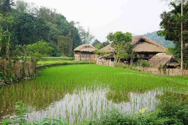 3D2N Ha Giang Motorcycle Tour with Local Guides