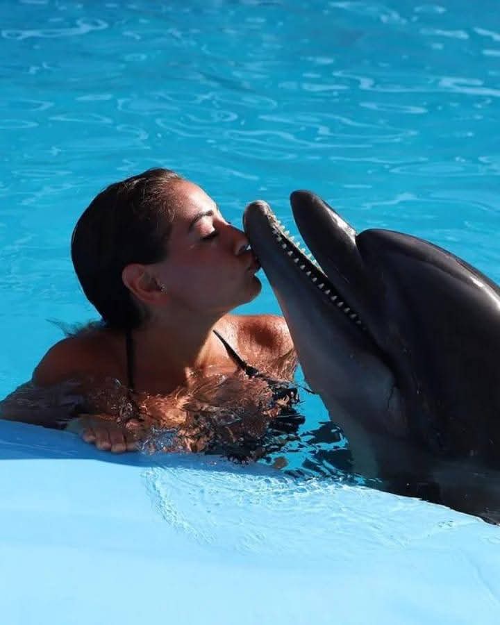Premium Dolphin Photo Session in Pool Interaction & Transfer – Hurghada