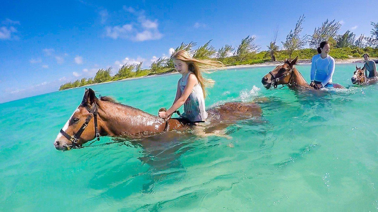 Exploring Hurghada-A Horse Ride Adventure