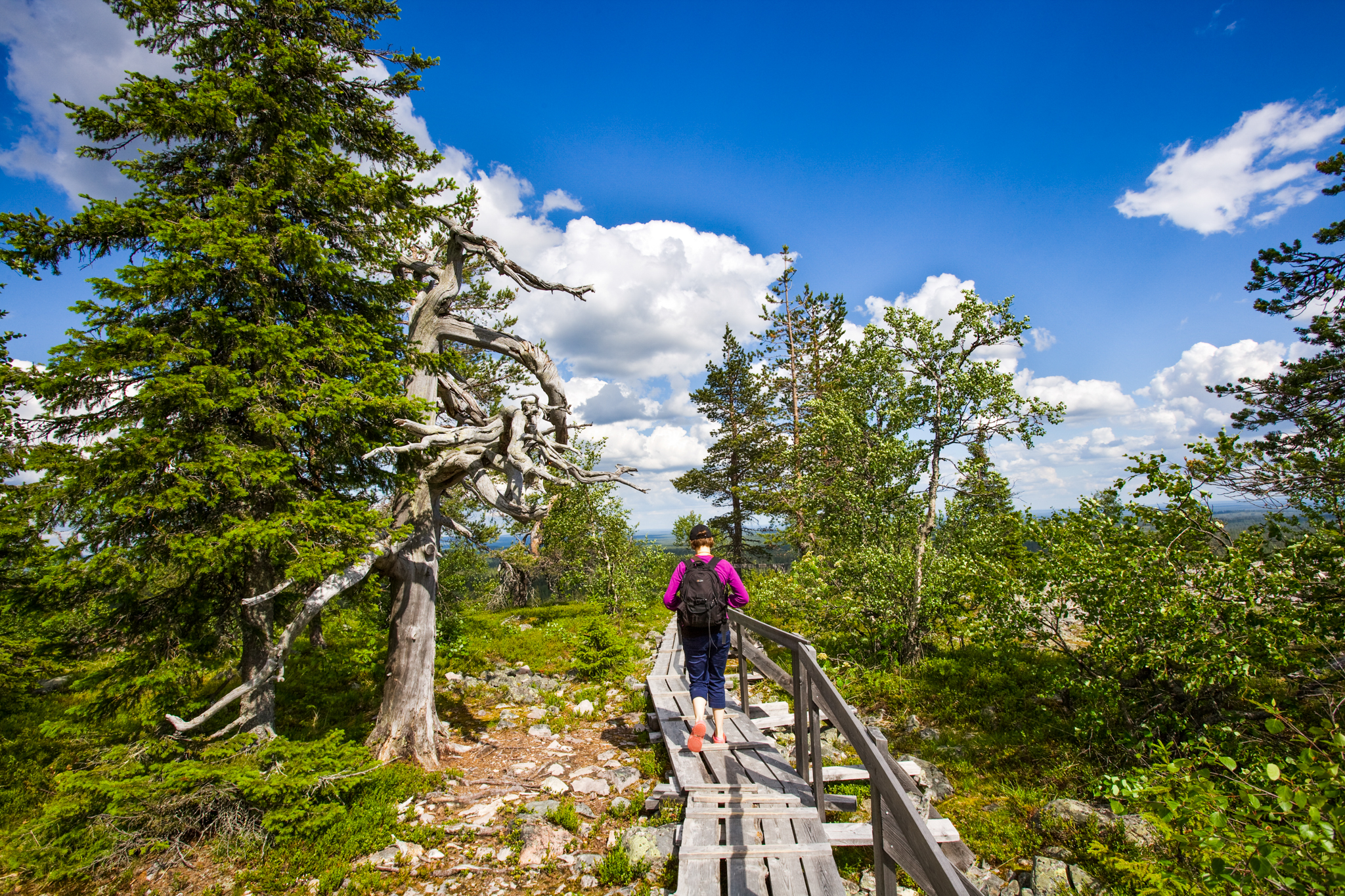 Rovaniemi: Korouoma Canyon Hike Tour & Barbeque – Small Group