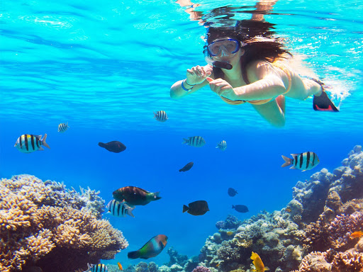 Saona Island Catamaran Tour from Bayahibe beach