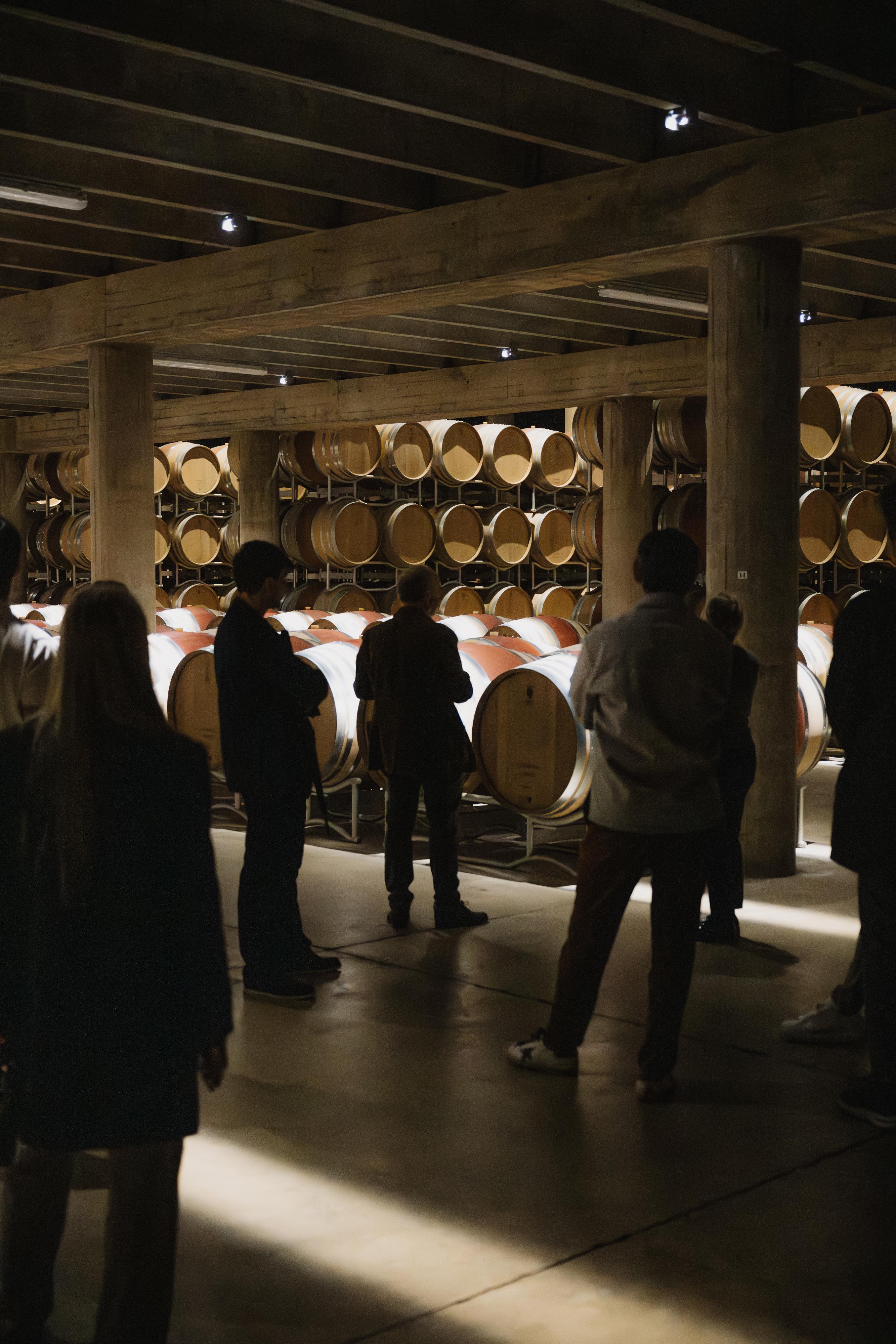 Private Chianti Classico Wine Tour with Chauffeur, Two Wineries & Tuscan Lunch Private Chianti Classico Wine Tour with Chauffeur, Two Wineries & Tuscan Lunch