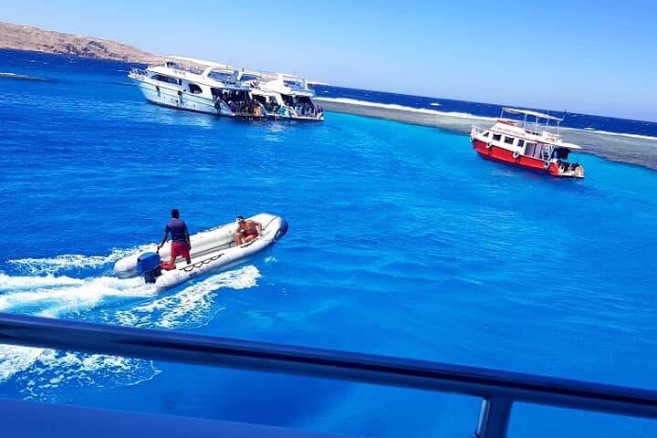 From hurghada get close to dolphins snorkeling tour