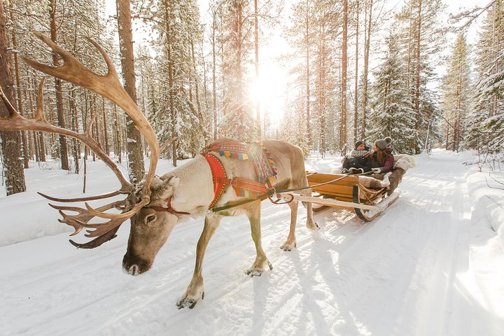 Group Reindeer Safari from Levi eng Group Reindeer Safari from Levi eng