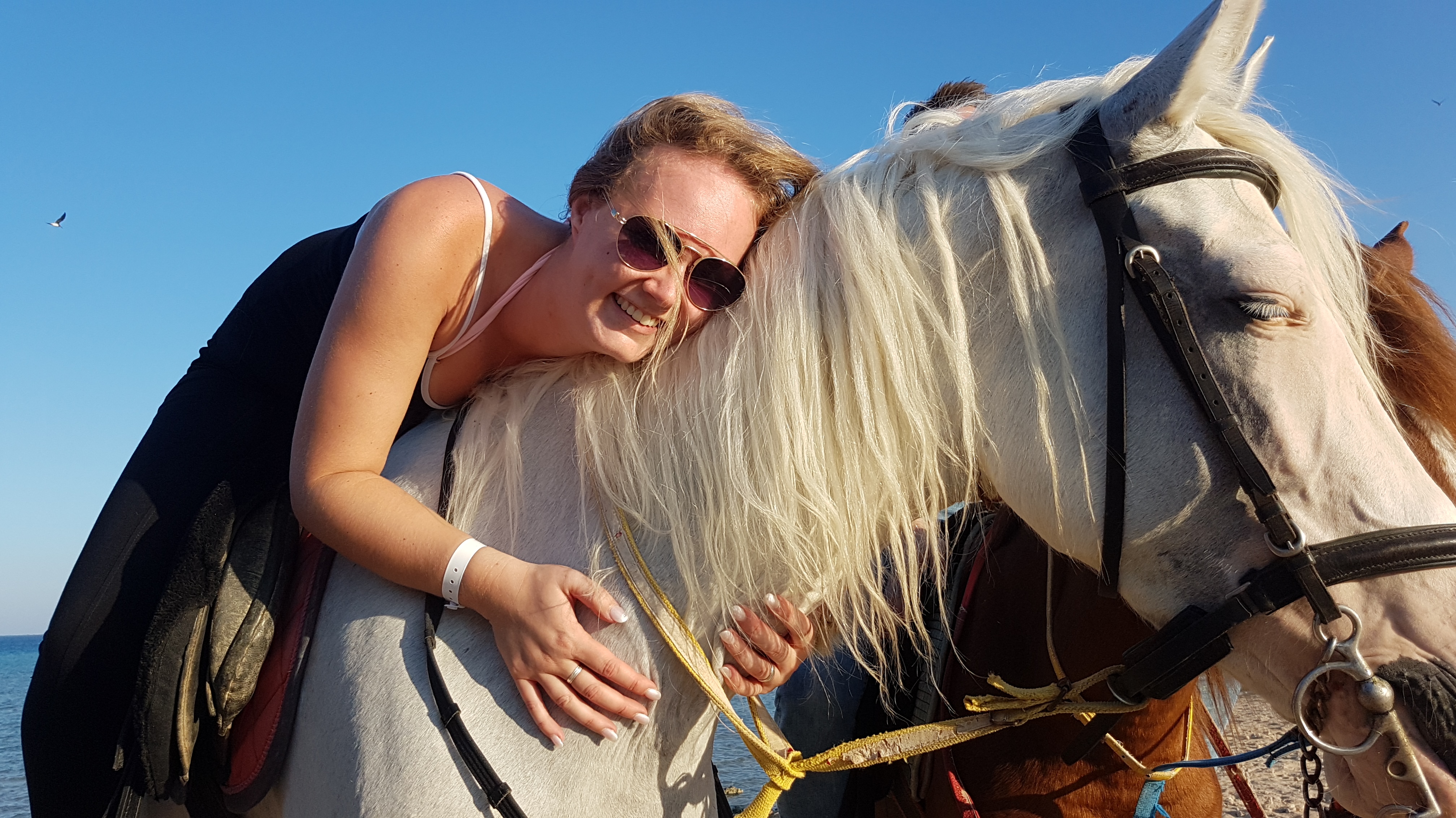 Premium 1 Hour Elite Desert Horseback Riding Adventure – Hurghada