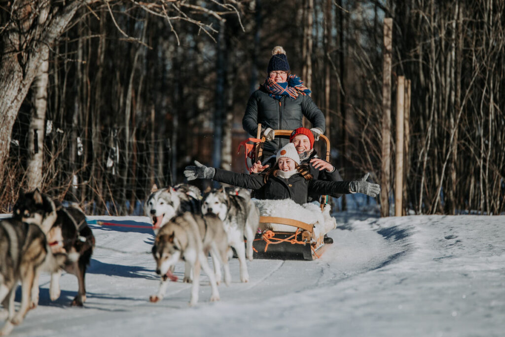 Group Husky Safari from Levi eng