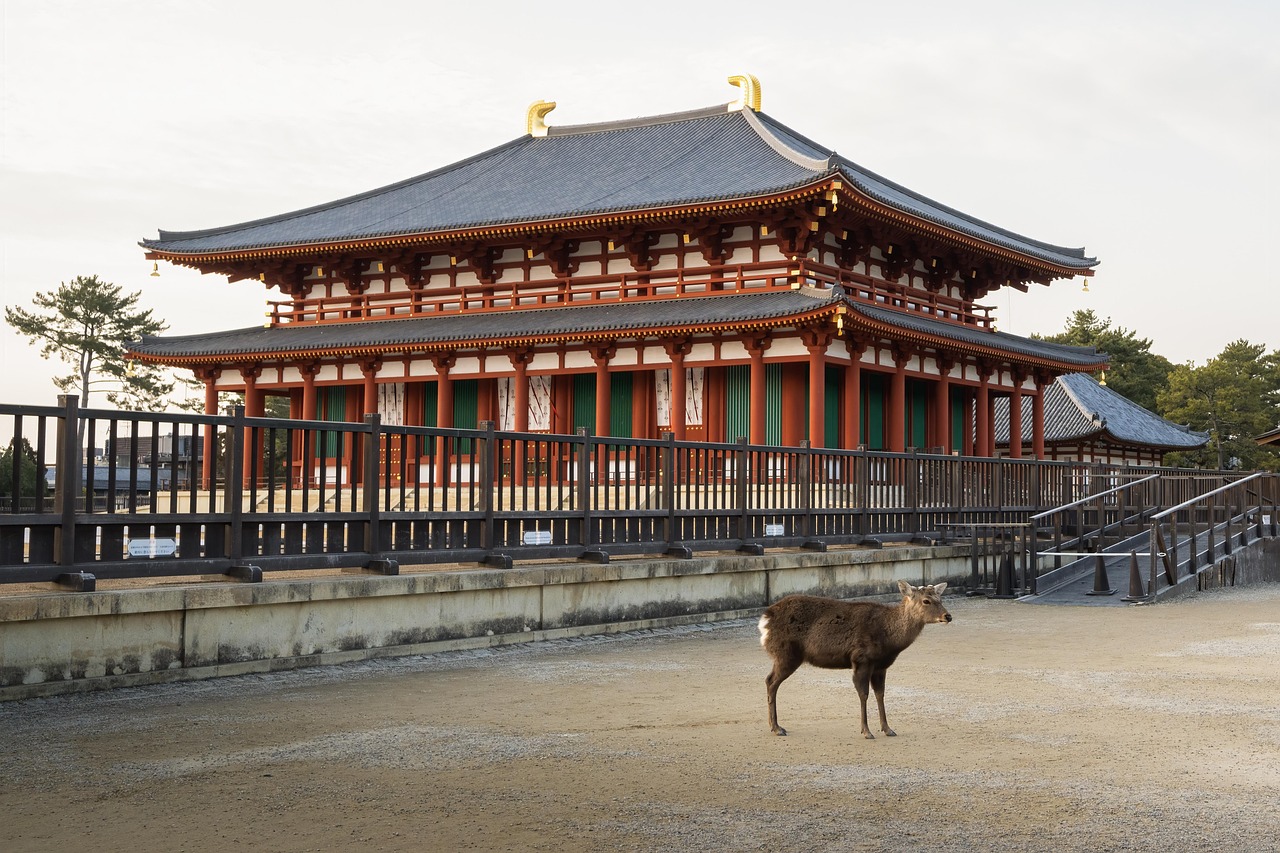Nara Early Morning Tour (Osaka Departure)