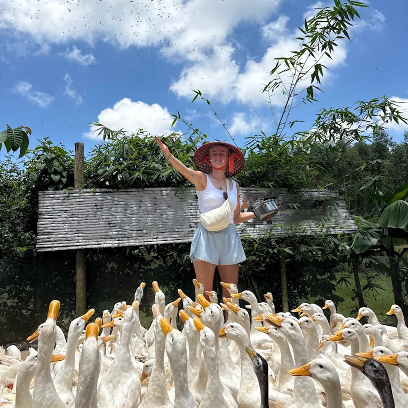 Paradise Cave and Village Charm A Phong Nha Day Trip