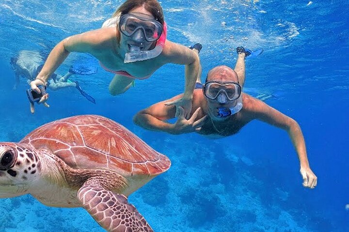 Full Day Private Tour Swim with Turtles and Dugong in Marsa Alam