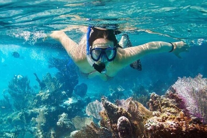 Vinh Hy Bay Snorkeling, Hidden Waterfall Discovery from Mui Ne