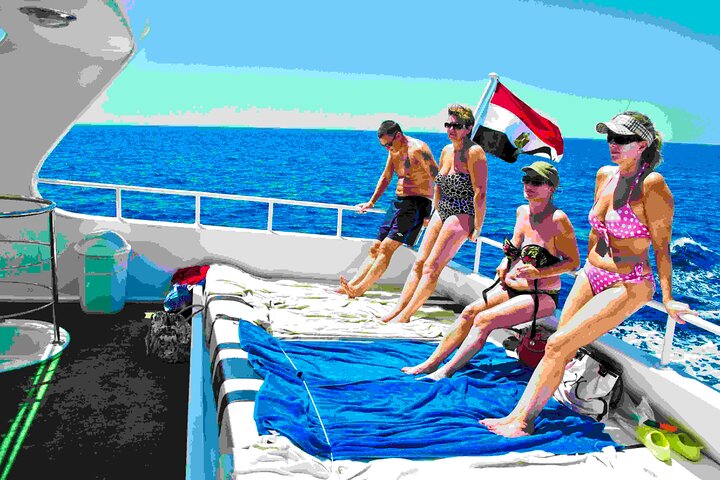Swimming close to wild dolphins from Hurghada Swimming close to wild dolphins from Hurghada