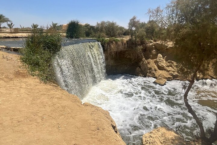 Fayoum Cultural & Nature Tour | Skip-the-Line Access & WiFi Incl. Fayoum Cultural & Nature Tour | Skip-the-Line Access & WiFi Incl.