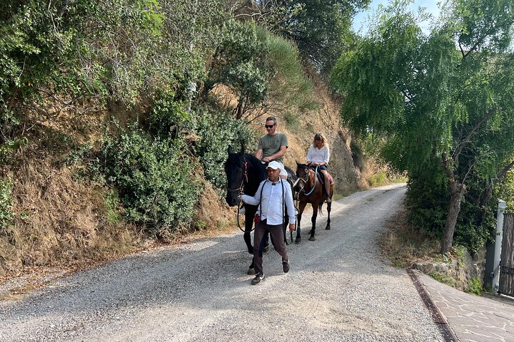 Horseback Ride Farm Visit and Lunch at Montepulciano