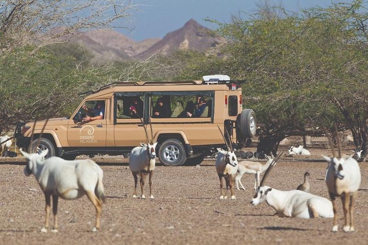 Nature and Wildlife Drive with Lunch- Must do Experience