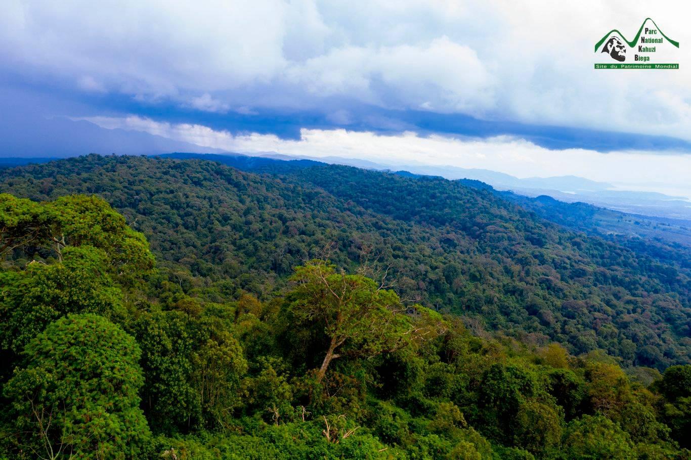 Grauer’s Gorilla Kingdom Safari – Kahuzi-Biega UNESCO Rainforest Expedition