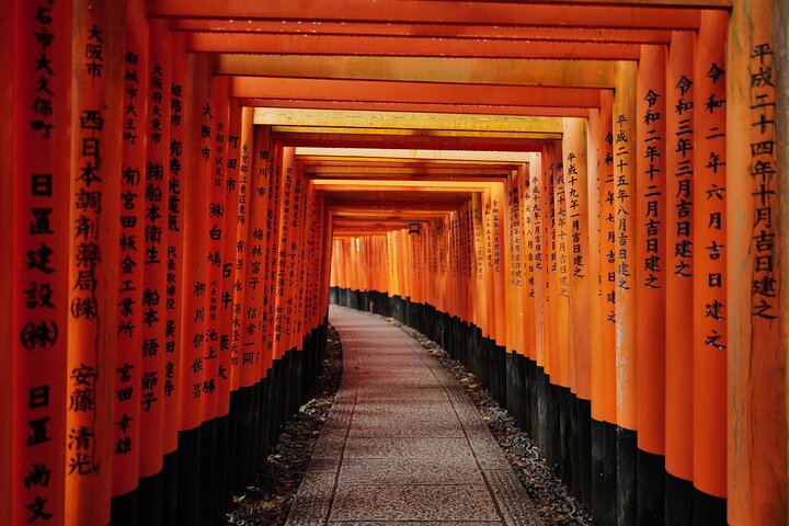 Kyoto Early Bird Tour Tokyo Round or One Way Shinkansen