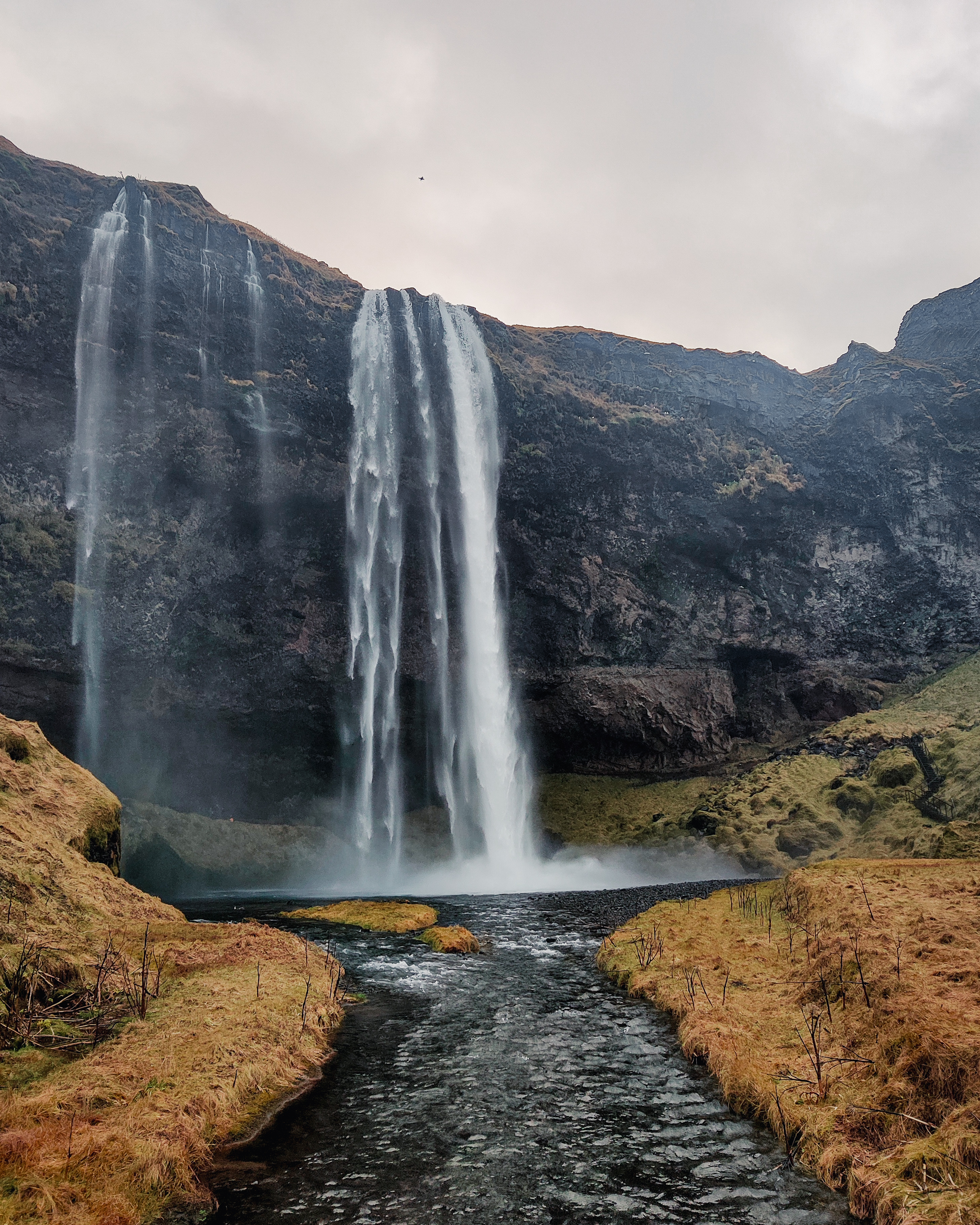 Costa Sur de Islandia en español – Minibús