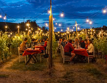 Supercar Experience in Siena and Val d’Orcia with Lunch