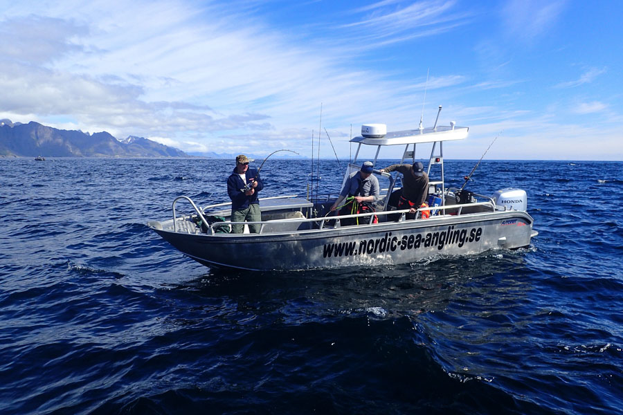 SEA FISHING IN OSLO Fjord, private tour