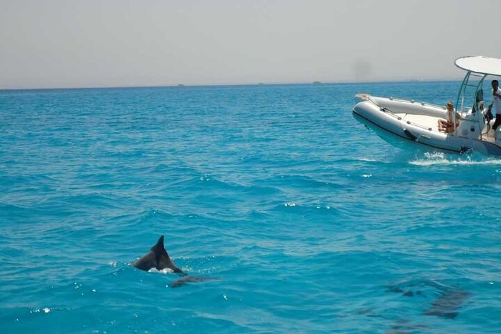 3 Hour Private Fishing And Snorkeling Tour In Hurghada Safaga