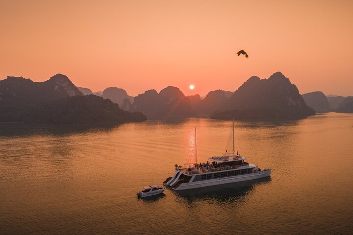 Catamaran Luxury Day Cruise from Cat Ba Island ( Afternoon Tour )