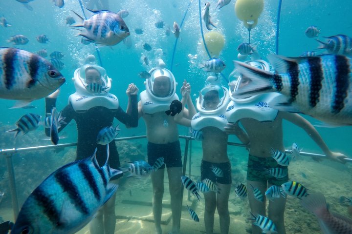 Cham Island Sea Trek and Snorkeling by Speedboat