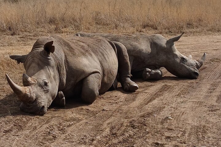 The Ultimate 4x4 Maasai Mara Day Trip The Ultimate 4×4 Maasai Mara Day Trip